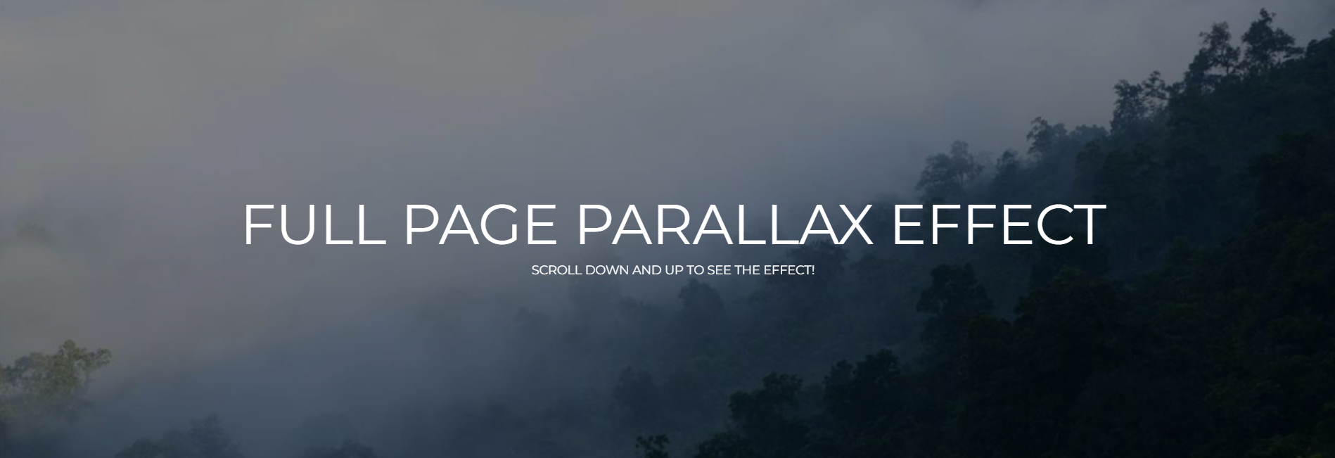 Vertical Full-Page Slider thumbnail